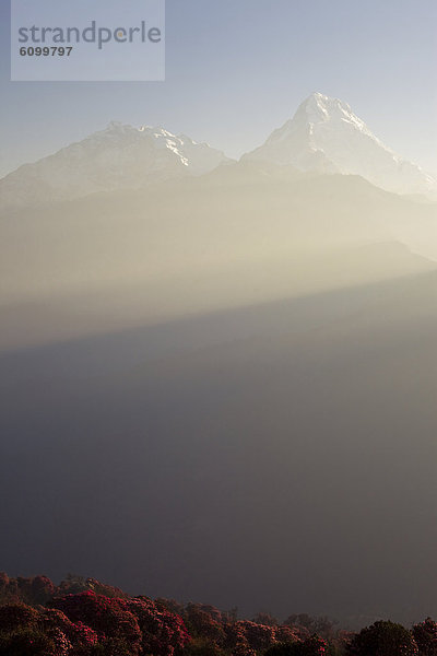 Hügel  Annapurna  1