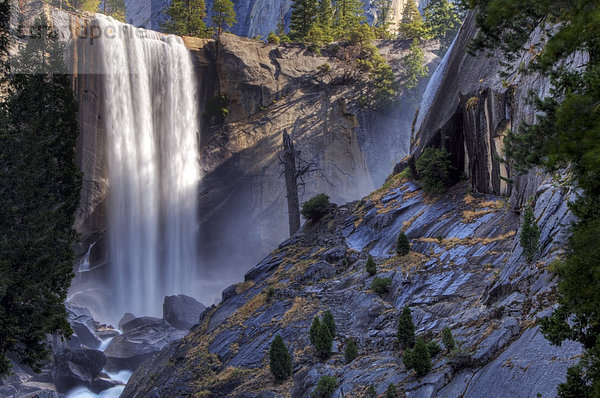 Yosemite Nationalpark  Frühling  Kalifornien