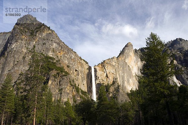 Beleuchtung  Licht  Kalifornien  Nachmittag  Yosemite Nationalpark