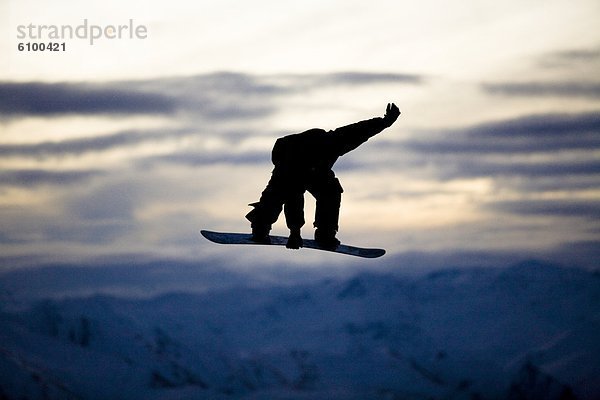 Gesäß  Po  Snowboardfahrer  fahren  stumm  greifen  Reh  Capreolus capreolus  Neuseeland  Schnee  Wanaka