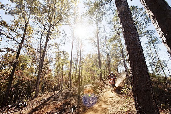 Gegenlicht  Hügel  fahren  hoch  oben  schmutzig  Bewegungsunschärfe  Motorradfahrer  Alabama  Blendenfleck  lens flare  Prozess