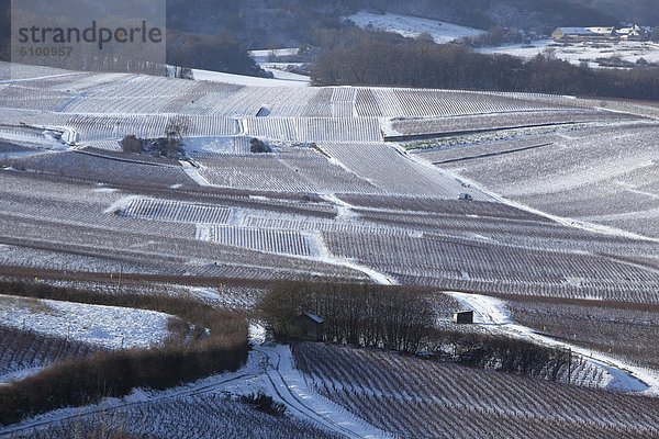 Champagner  Schnee