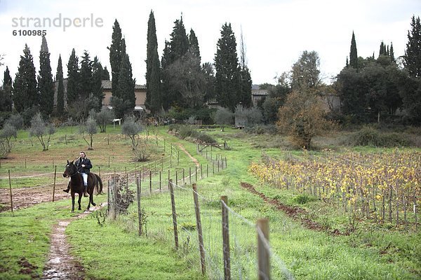 reiten - Pferd  Winzer  Italienisch