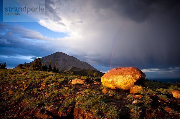 Felsbrocken  Vereinigte Staaten von Amerika  USA  Colorado