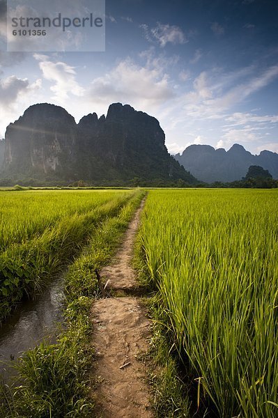 führen  Berg  Weg  Reis  Reiskorn  Asien  Laos