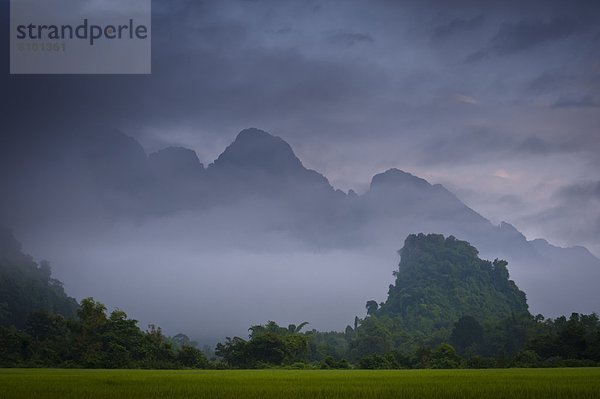 Berg  bedecken  Wolke  Botanik  Dunst  Reis  Reiskorn  Asien  Laos