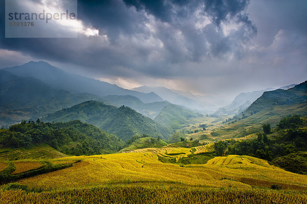 Berg  Wolke  Dunst  Reis  Reiskorn  Asien  Vietnam