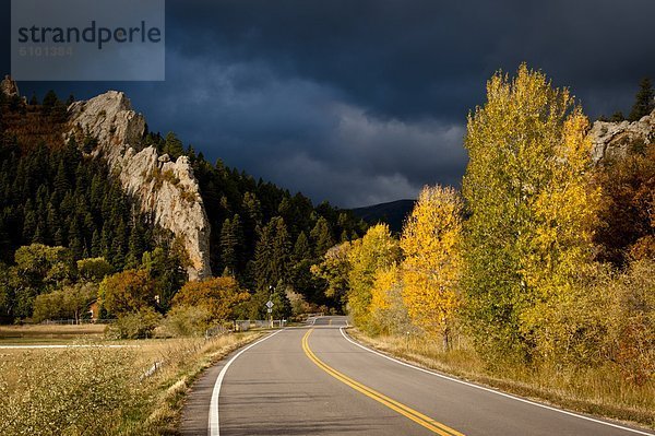 Farbaufnahme  Farbe  Baum  Himmel  Sturm  Bundesstraße  Colorado