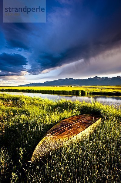 grün  Boot  Gras  Colorado  Teich