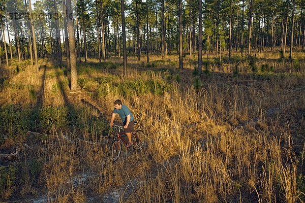 Anschnitt  Mann  folgen  grün  Fahrrad  Rad  North Carolina  Sumpf