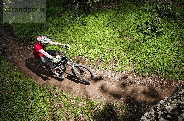 Berg  Mann  fahren  Weg  grün  Überfluss  extrem  umgeben  jung  Klee  Downhill mountain biking