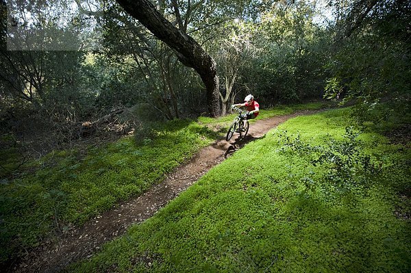 Berg  Mann  fahren  Weg  grün  Überfluss  extrem  umgeben  jung  Klee  Downhill mountain biking