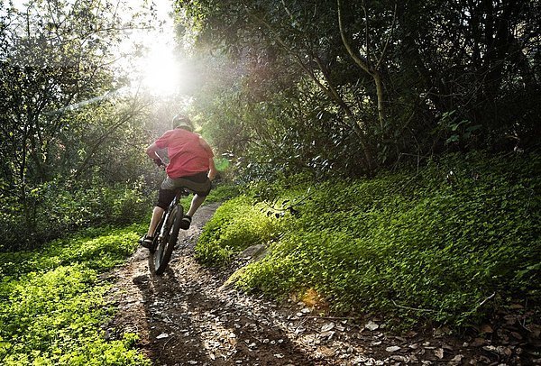 Berg  Mann  fahren  Weg  grün  Überfluss  extrem  umgeben  jung  Klee  Downhill mountain biking