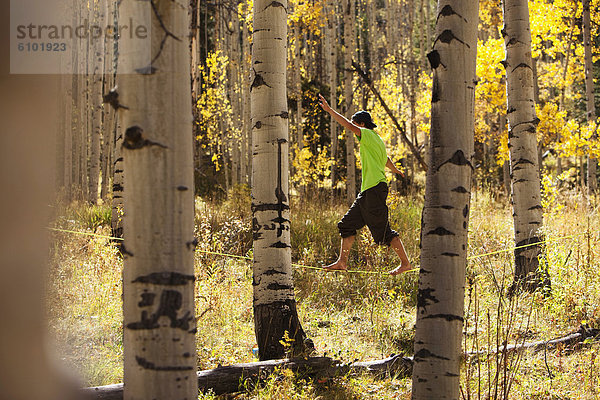 Mann  gehen  Wald  jung  Slackline  Gold