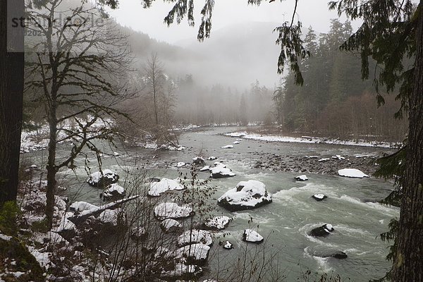 Winter  Morgen  Baum  Dunst  Fluss  Rahmen  Olympische Spiele  Olympiade