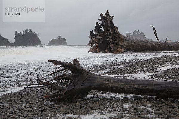 nahe schieben Strand Treibholz