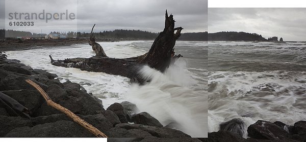 nahe schieben Strand Baum Unfall