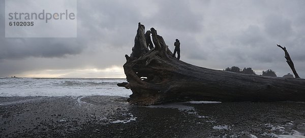 nahe Mann schieben Strand Sonnenuntergang jung Treibholz