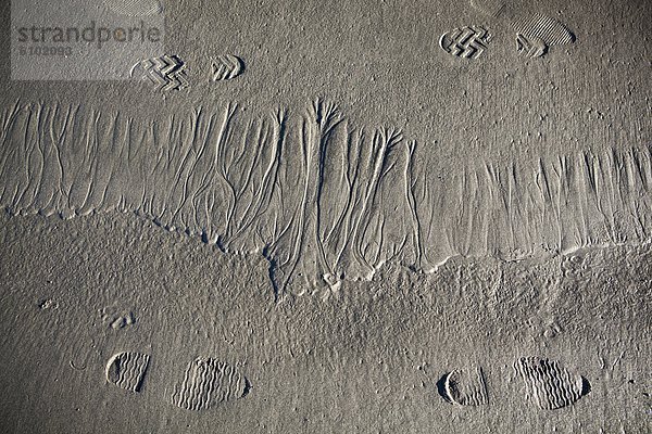 Spur  Muster  Strand  Tourist  Schuh  Schwierigkeit  Sand  nebeneinander  neben  Seite an Seite  Olympic Nationalpark