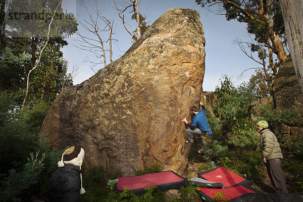 Problem  ziehen  Schwierigkeit  Klettern  Erwachsener  Australien  Boulder  Tasmanien