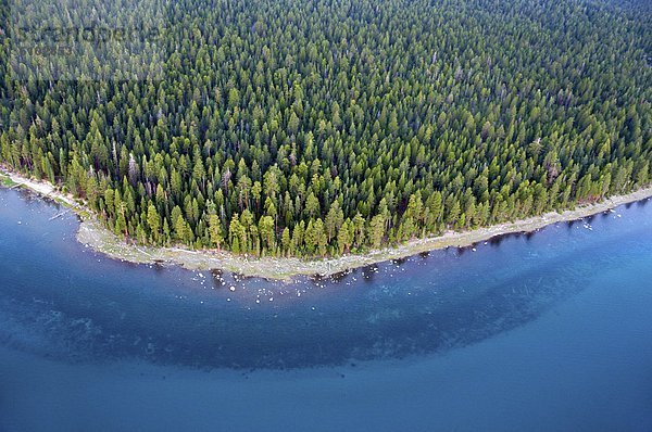 Anschnitt  Sommer  Küste  See  Schwierigkeit  Kalifornien  Ansicht  Wald  Luftbild  Fernsehantenne