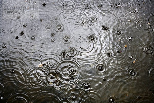 heraustropfen  tropfen  undicht  Regen  Teich