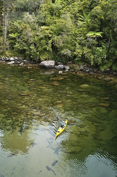 Woman paddling a sea kayak  Abel Tasman National Park  Nelson  New Zealand.