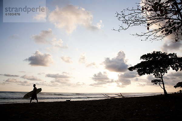 hinter  Mann  Fotografie  gehen  Strand  folgen  Silhouette  Hund  Sonne