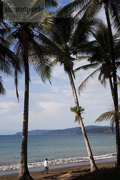 Mann  gehen  Strand  Baum  unterhalb