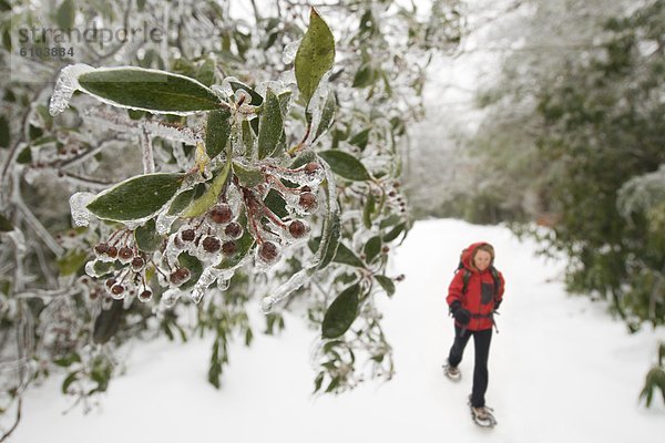 North Carolina