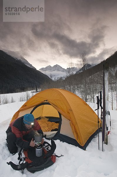 Espe  Populus tremula  Winter  Mann  camping  braun  unterhalb  Colorado