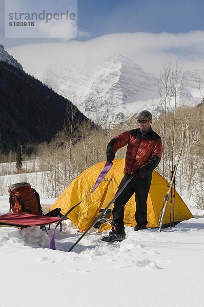 Espe  Populus tremula  Mann  Start  Ski  unbewohnte  entlegene Gegend  braun  unterhalb  Colorado  bekommen