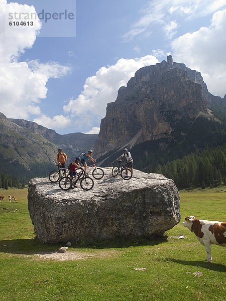 stehend  Berg  4  groß  großes  großer  große  großen  Wiese  Fahrrad  Rad  Dolomiten  Boulder  Italienisch