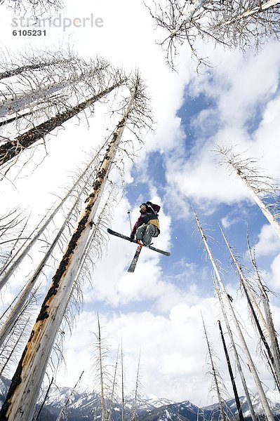 Skifahrer fangen Himmel kahler Baum kahl kahle Bäume