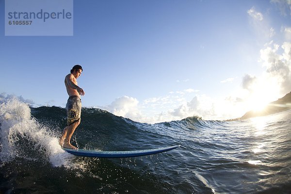 Mann  Beleuchtung  Licht  jung  Hundeschlitten  Hawaii  Ungeheuer  North Shore  Oahu  Wellenreiten  surfen