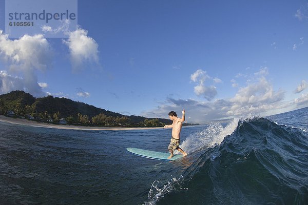 Mann  jung  Hundeschlitten  Hawaii  Ungeheuer  North Shore  Oahu  Wellenreiten  surfen