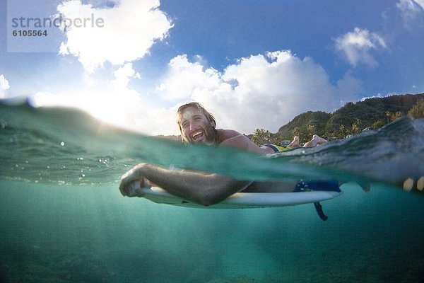 Ansicht  Trennung  Hundeschlitten  Hawaii  Ungeheuer  North Shore  Oahu