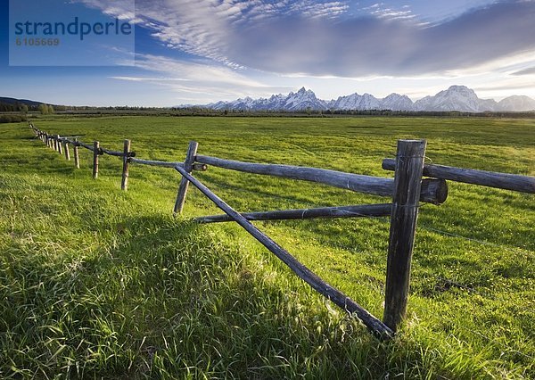 Beleuchtung  Licht  spät  Ehrfurcht  Zaun  Nachmittag  grasen  Wyoming
