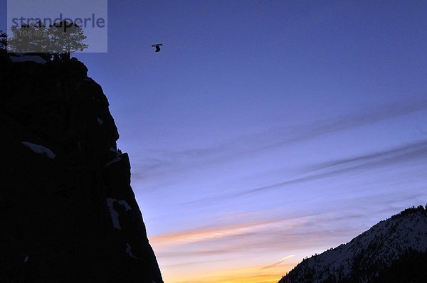 springen  Skifahrer  Sonnenuntergang  frontal  zeigen  Ski  Kalifornien  Erdbeere  Liebe