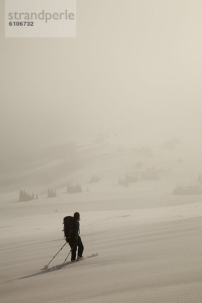 Spur  Skifahrer  Silhouette  Nebel  unbewohnte  entlegene Gegend  vorwärts