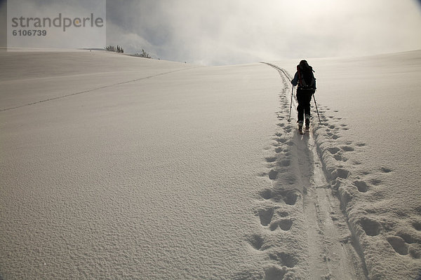 Spur  Skifahrer  Silhouette  unbewohnte  entlegene Gegend  vorwärts  Schnee