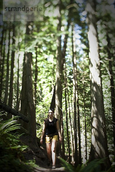 Frau  Baum  wandern  Zeder  Idaho