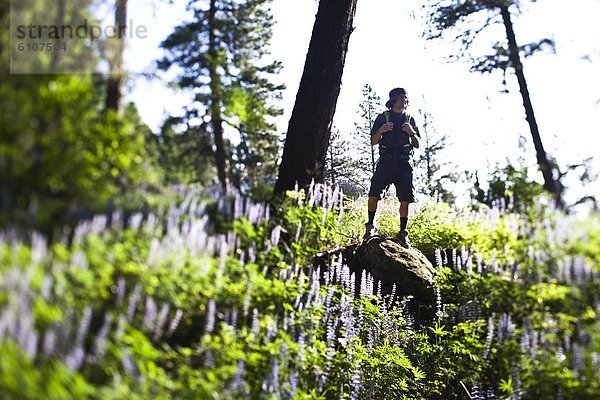 Felsbrocken  Mann  Ende  Feld  wandern  Wildblume  jung  Idaho
