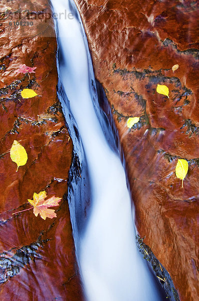 Nationalpark Wasser schneiden umgeben Sandstein