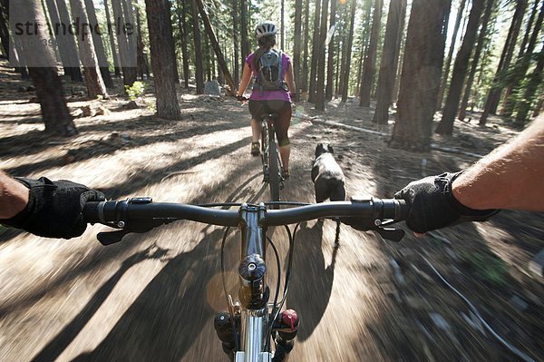 Spur  Berg  radfahren  Weg  1