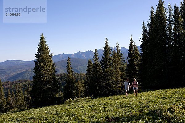 dramatisch  Feld  wandern  Rahmen  jung  vorwärts  Hintergrundbild