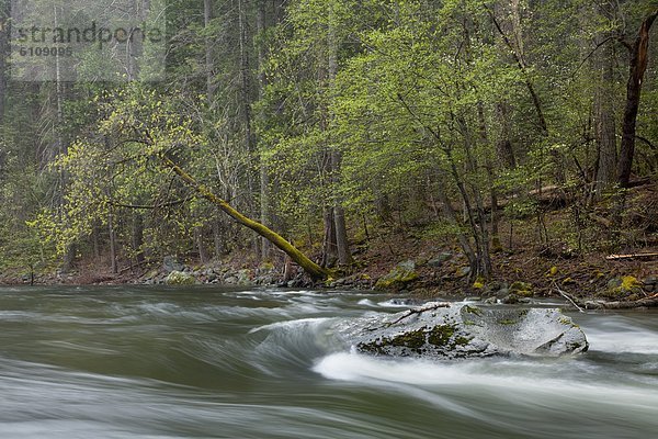 Landschaftlich schön  landschaftlich reizvoll  Fotografie  fließen  Fluss  Kalifornien  Yosemite Nationalpark  Merced
