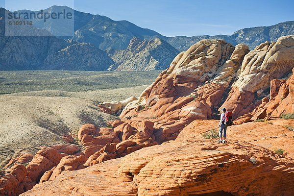 Vereinigte Staaten von Amerika  USA  Felsbrocken  Schutz  Hügel  wandern  Nevada  rot  Zimmer  Schlucht