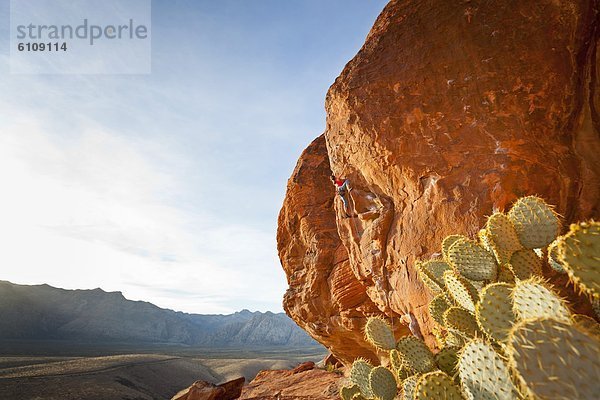 Vereinigte Staaten von Amerika  USA  Felsbrocken  Schutz  Hügel  Nevada  rot  Klettern  Zimmer  Schlucht