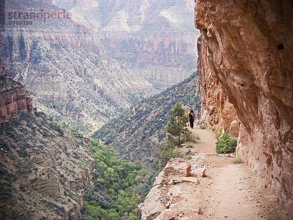 Arizona  Grand Canyon Nationalpark